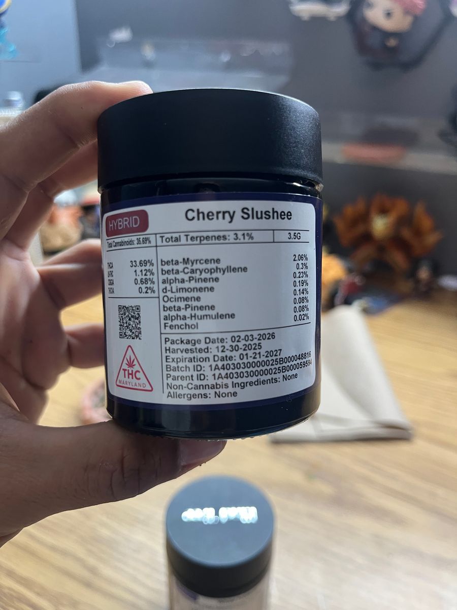 Cherry Slushee strain