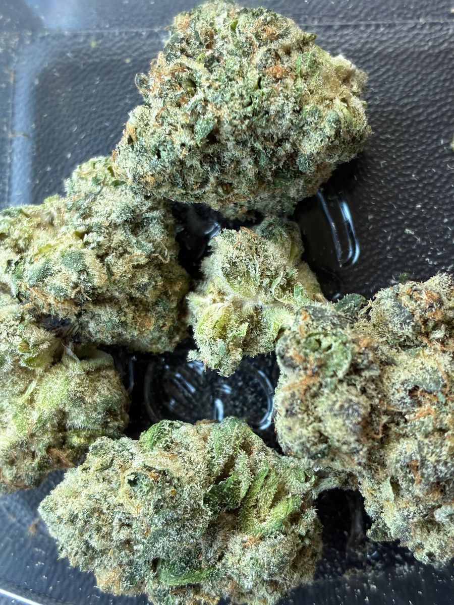 Waffle Cone strain