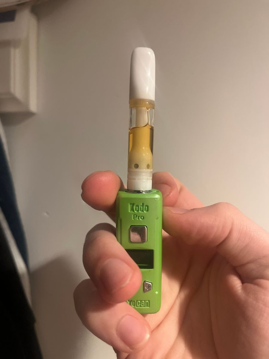 Gluerangutan strain