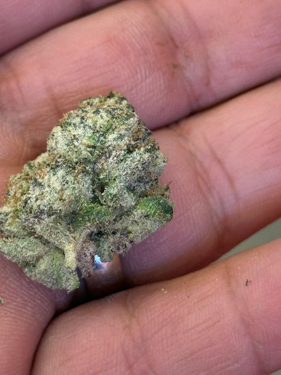 Backpack Boys White Cherry Lemonade
