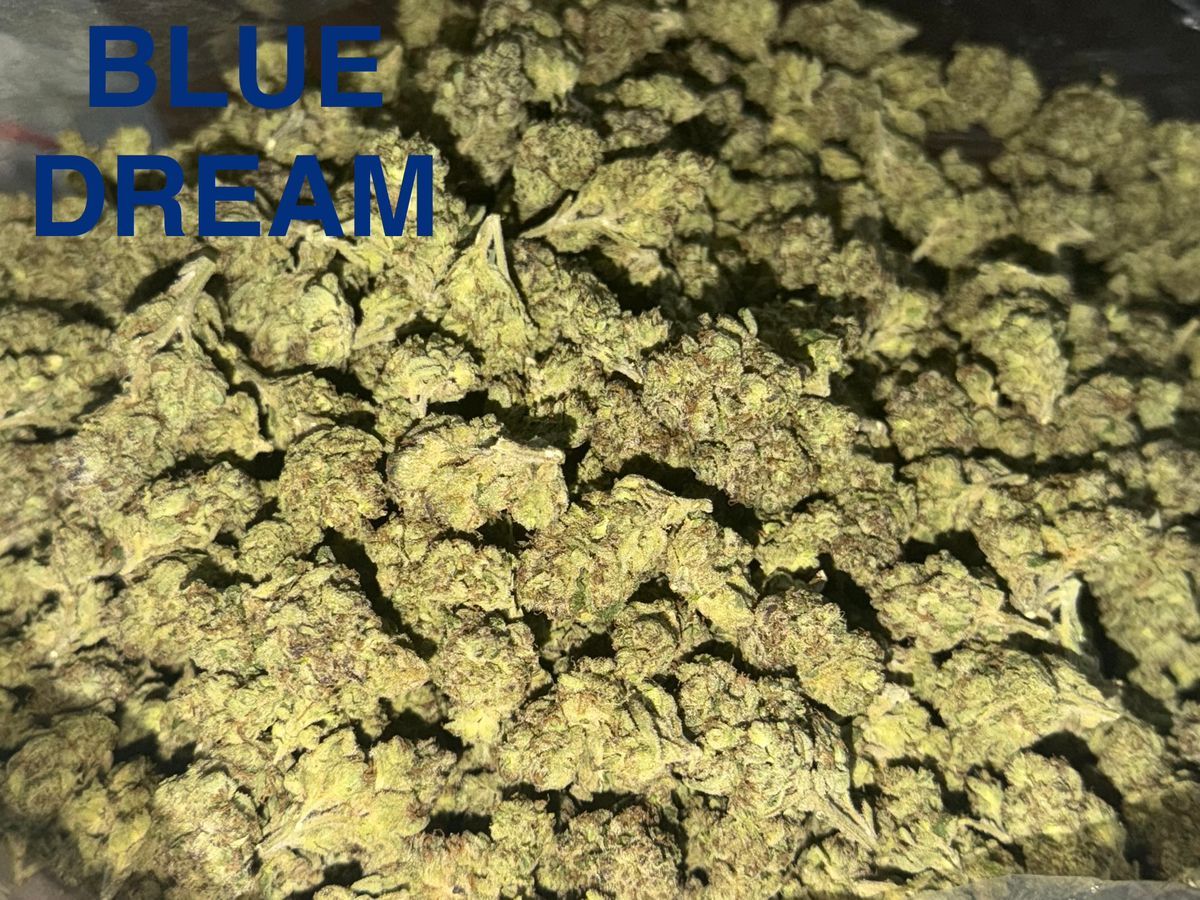 None Blue Dream