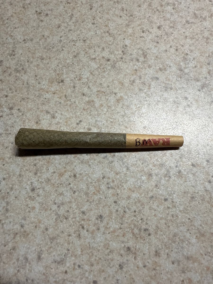 Biscotti Mintz strain