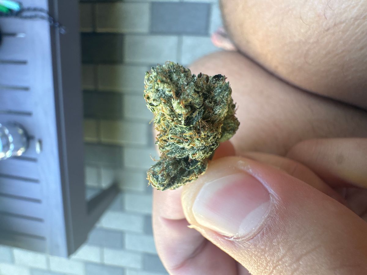 Kush Co brand