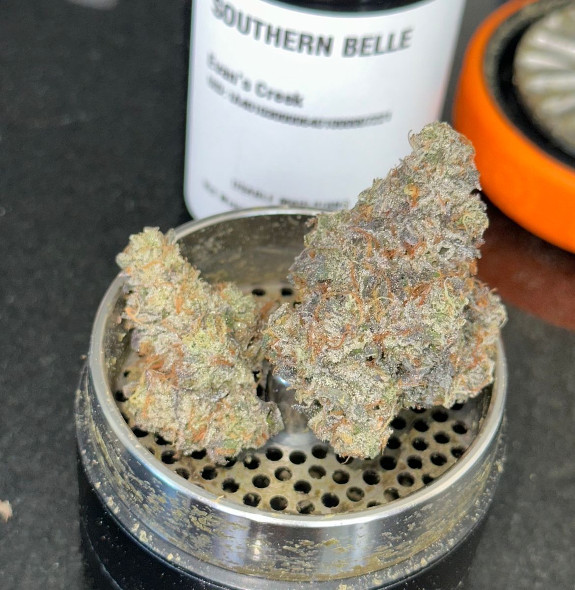 Evan’s Creek Southern Belle