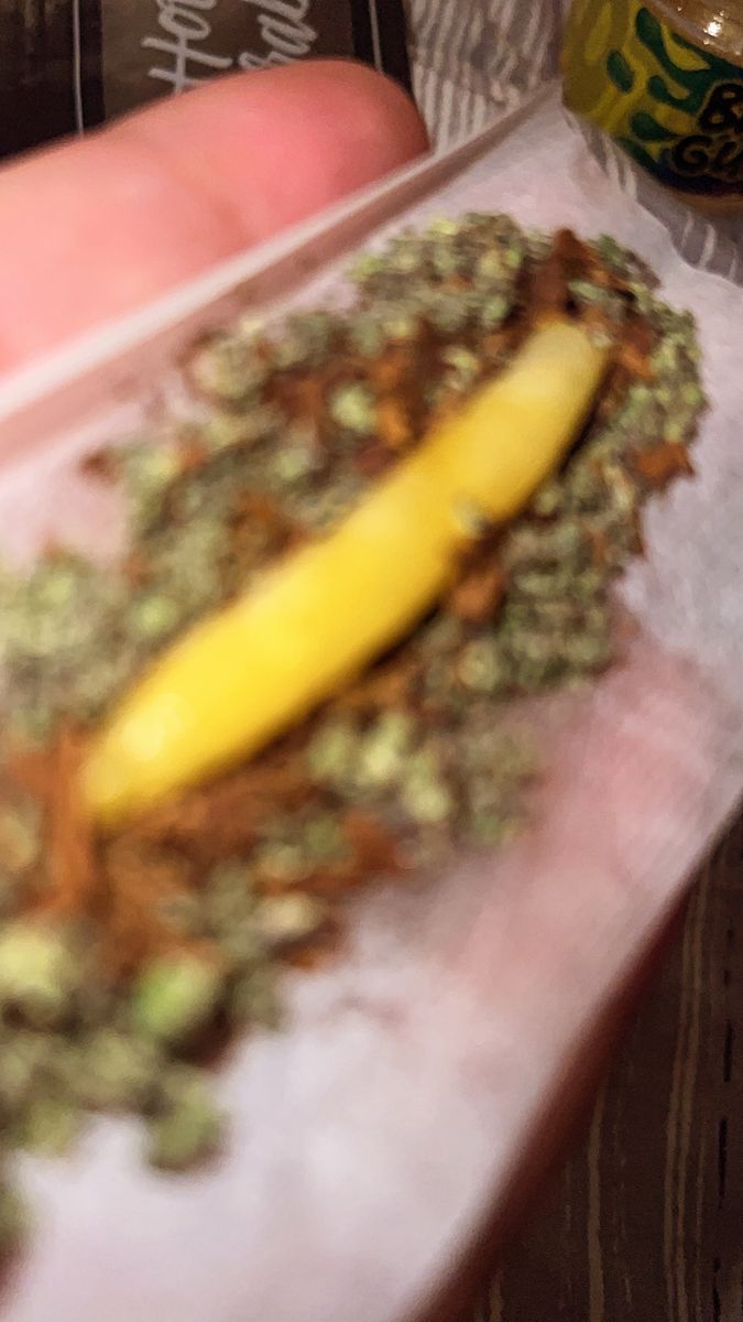 Milkshake strain