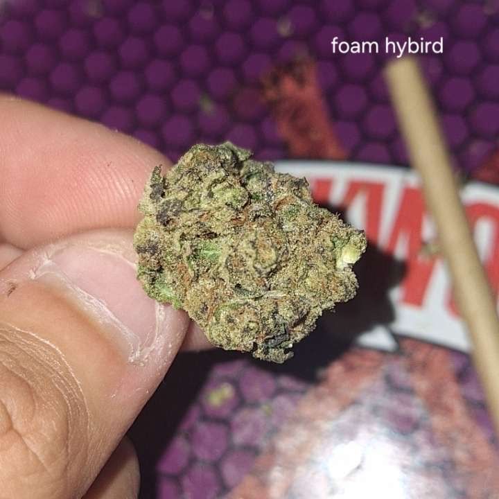 Planet 13: Foam