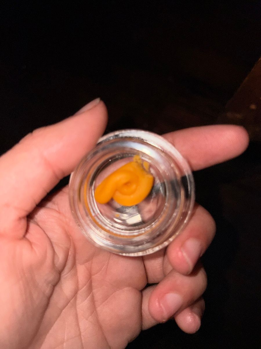 Punch Extracts Gelato 41