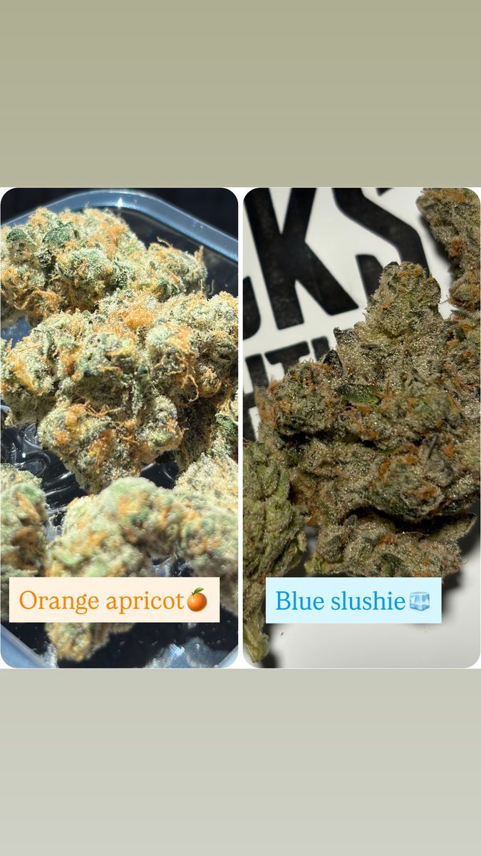 Jungle Boys X Packs Us Blue Slushie X Orange Apricot