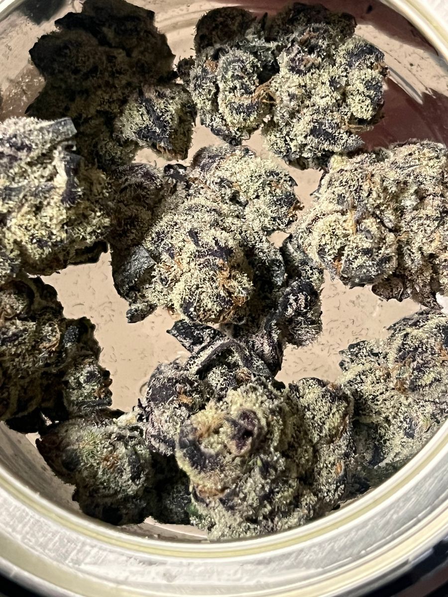Prime Wellness Chocolate Cherry Oh #1