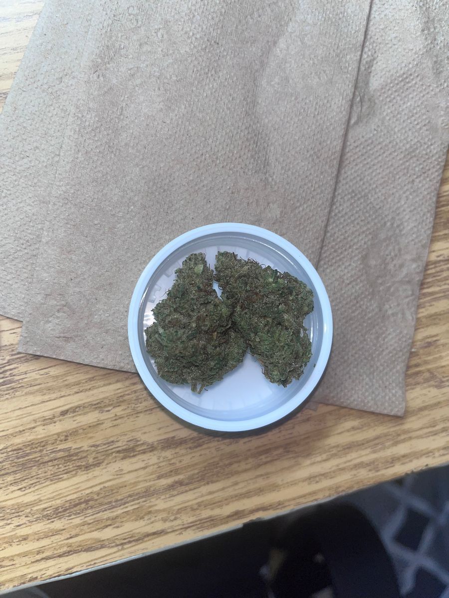 Culta Amnesia Og