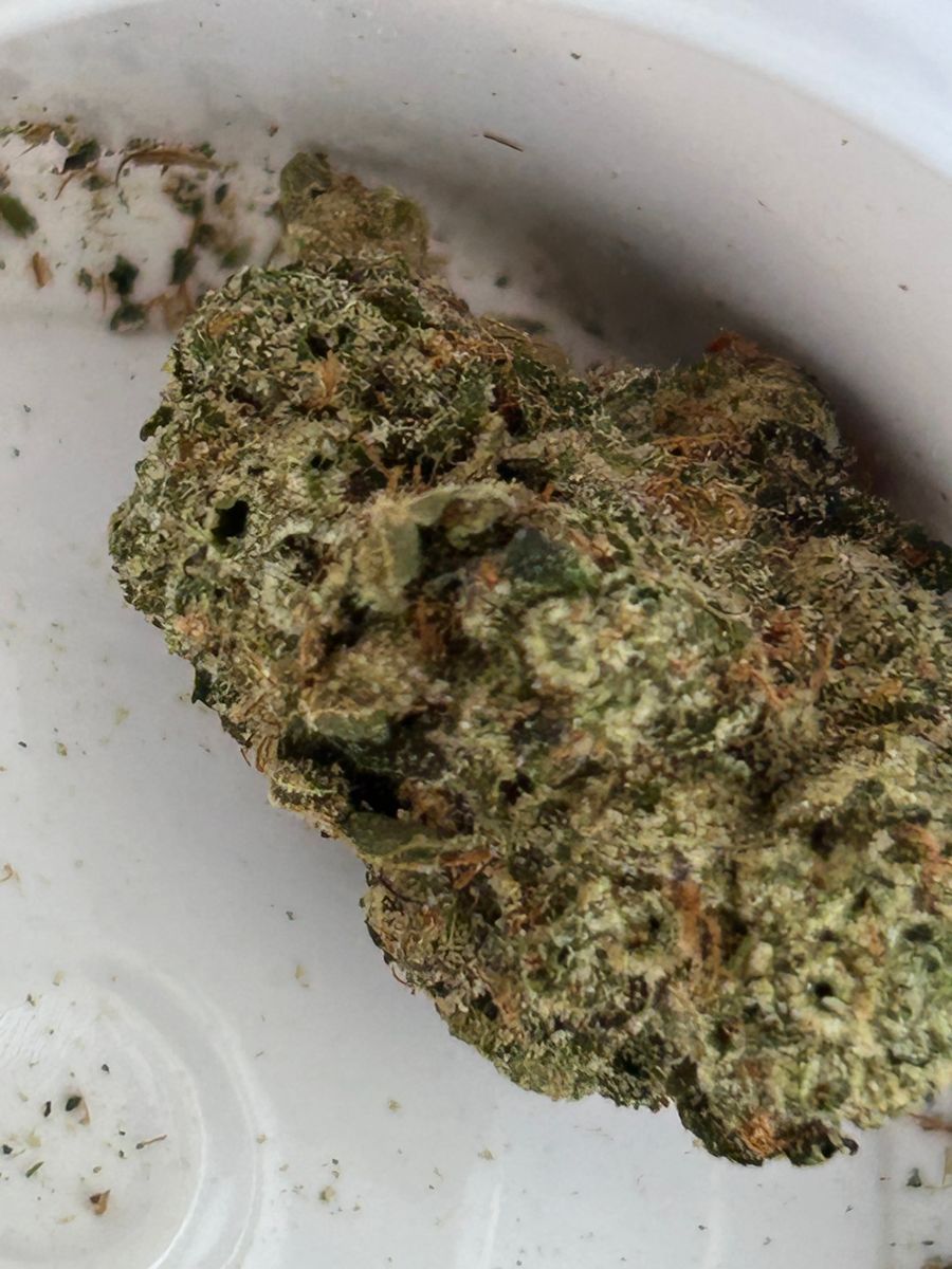 Floracal Purple Churro