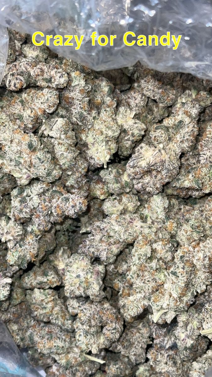 Crazy For Candy strain