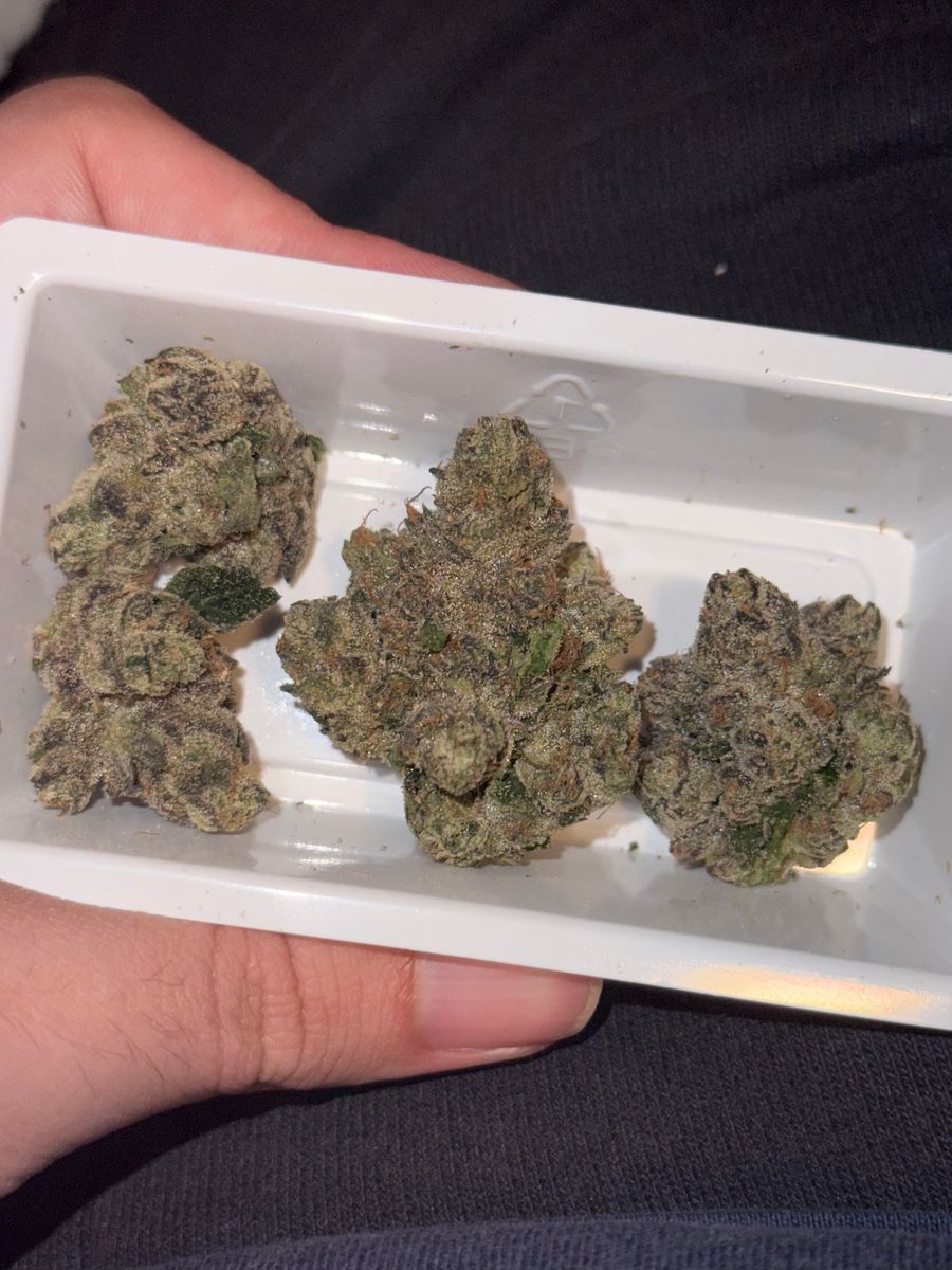 Black Brulee strain