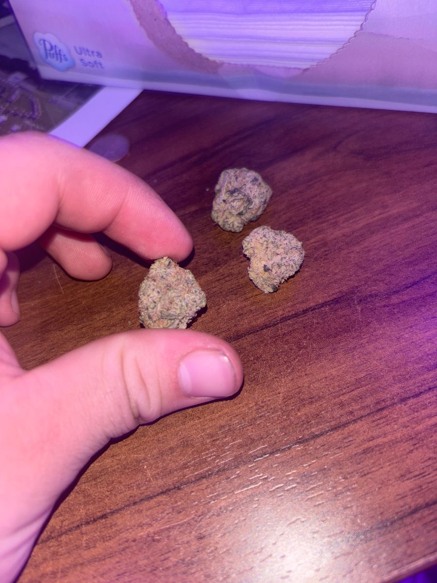 Jars Cannabis  brand