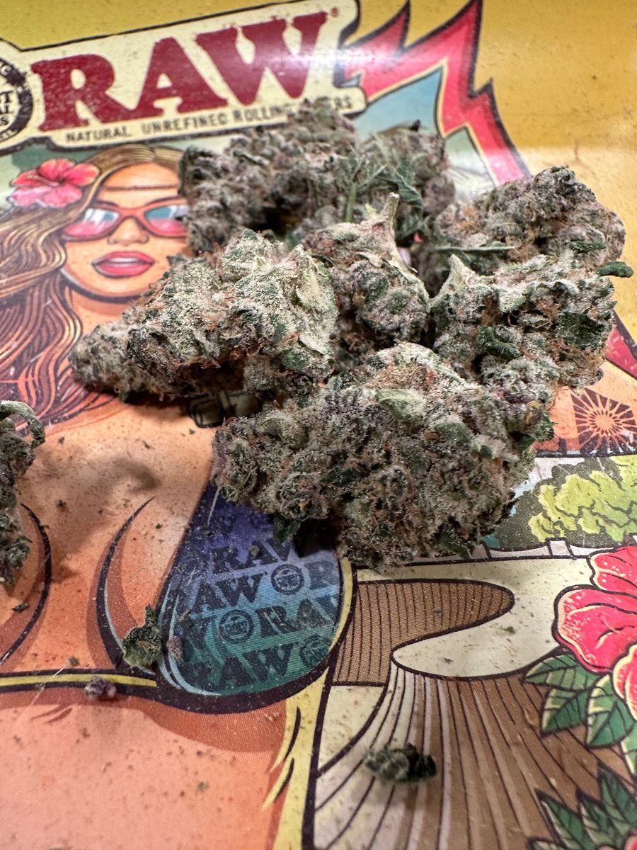Sanctuary Medicinals Headmount