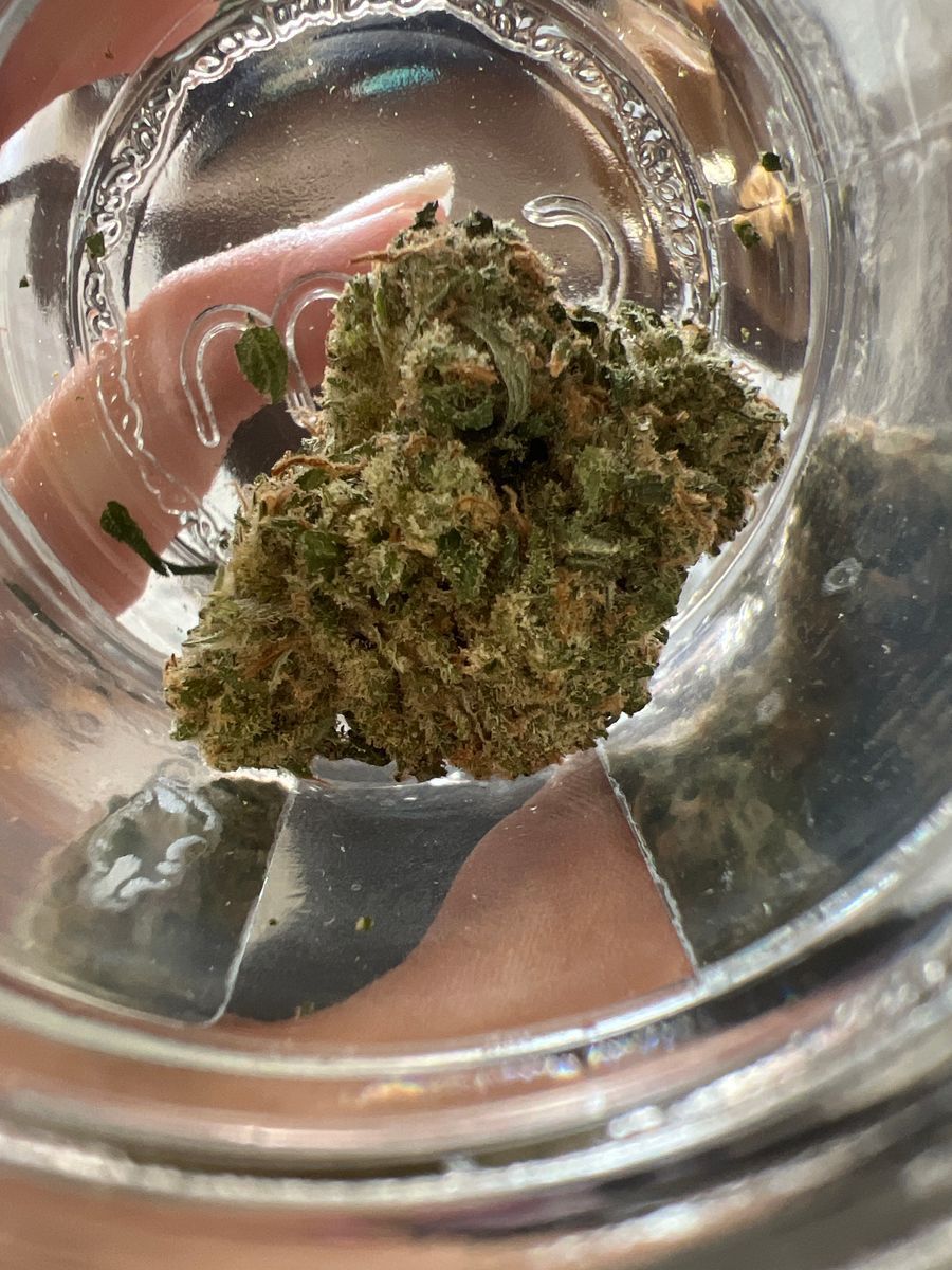 Cam: Jack Herer