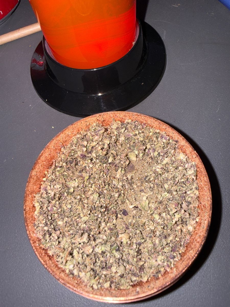 Infused Metaverse