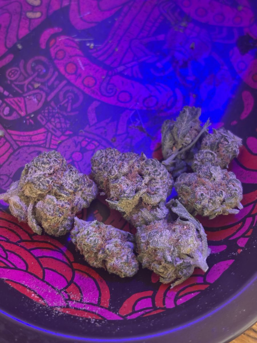 Grapes And Cream strain