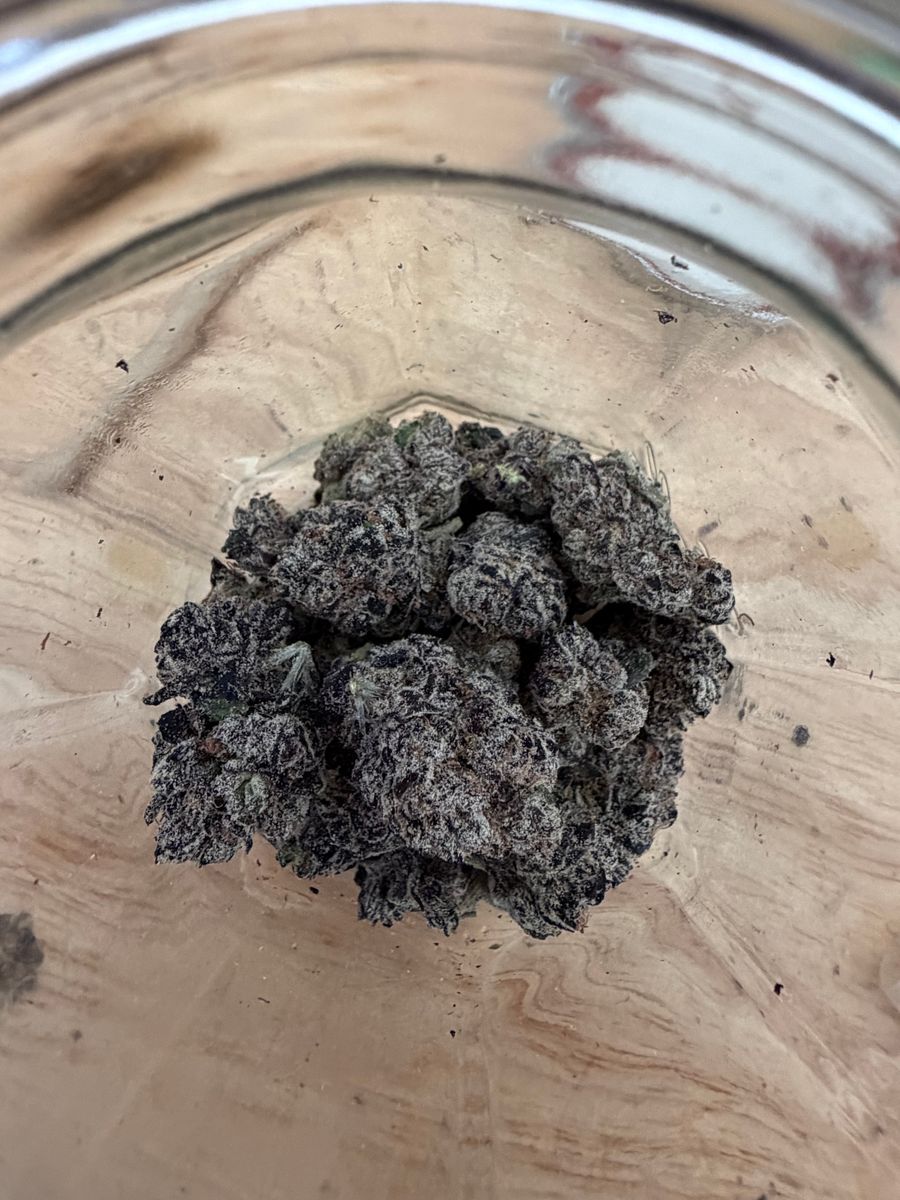 N/A Black Runtz