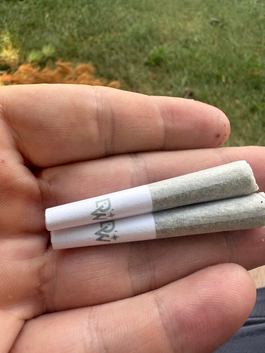 Dogwalkers: Jack Herer