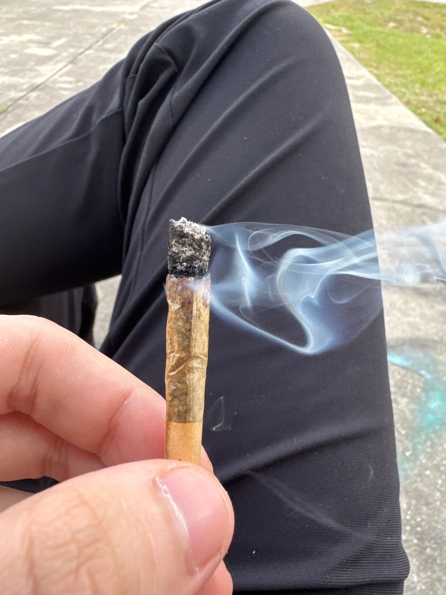 Ideal Cannabis Trop Z