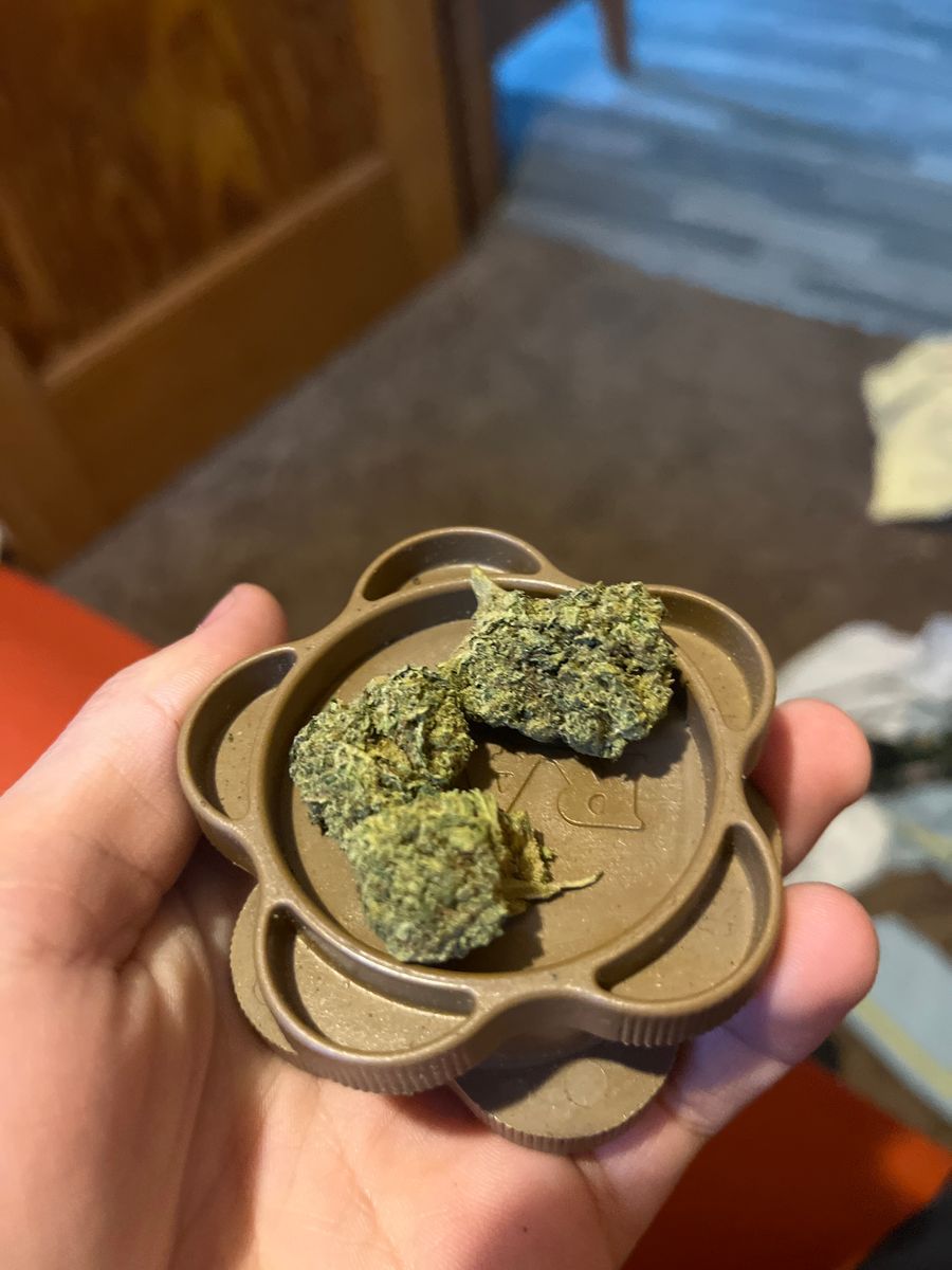 Glh Platnium Lemon Cherry Gelato