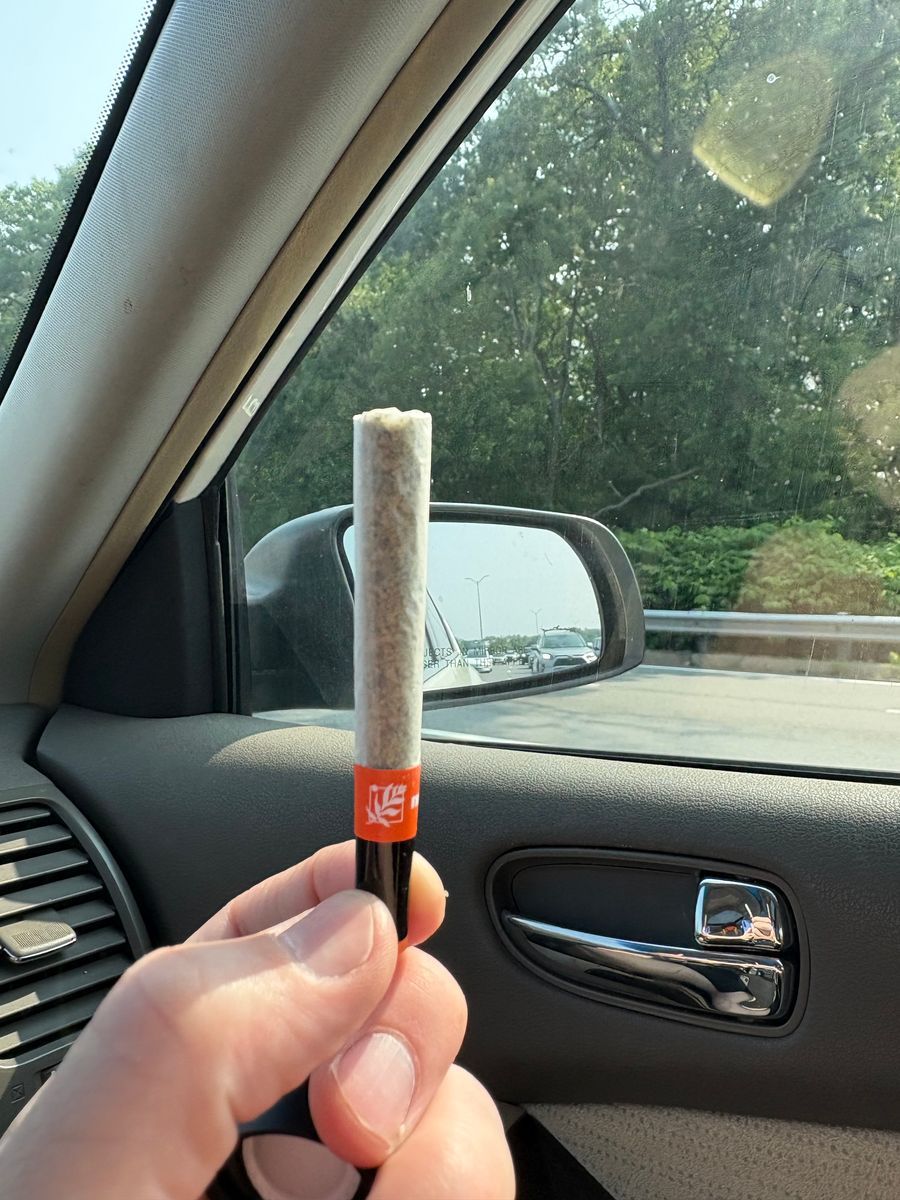 Fernway: Mandarin Orange