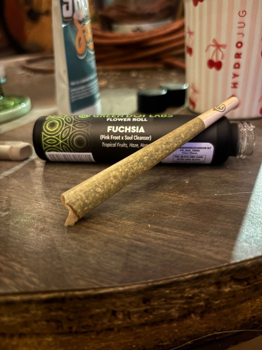 Fuschia strain