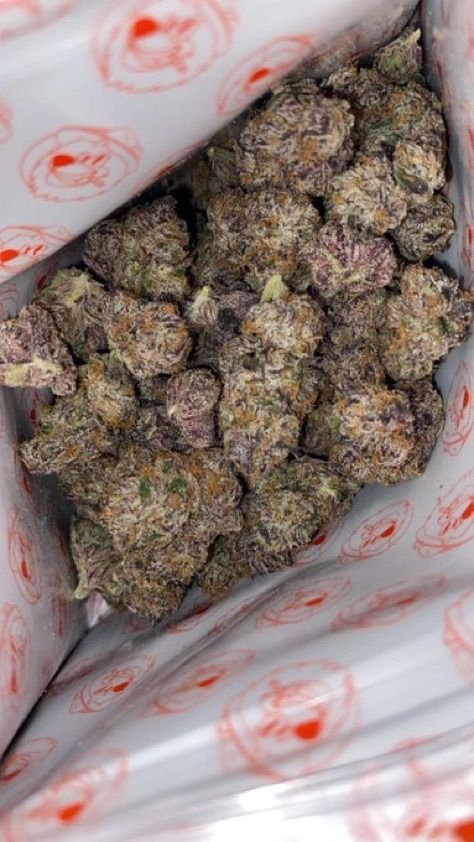 Higashi strain