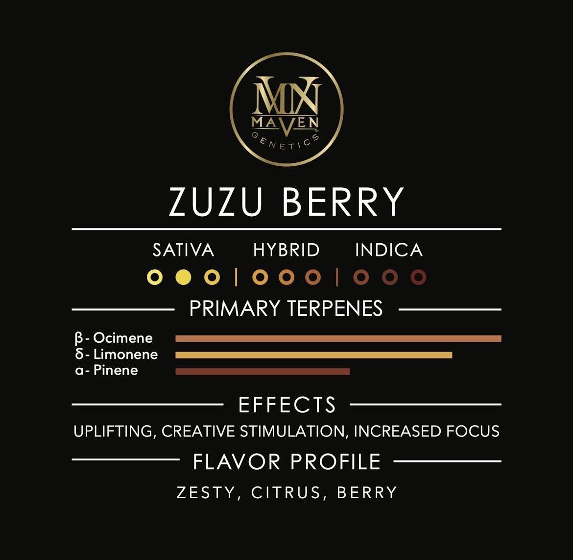 Maven Genetics Zuzu Berry