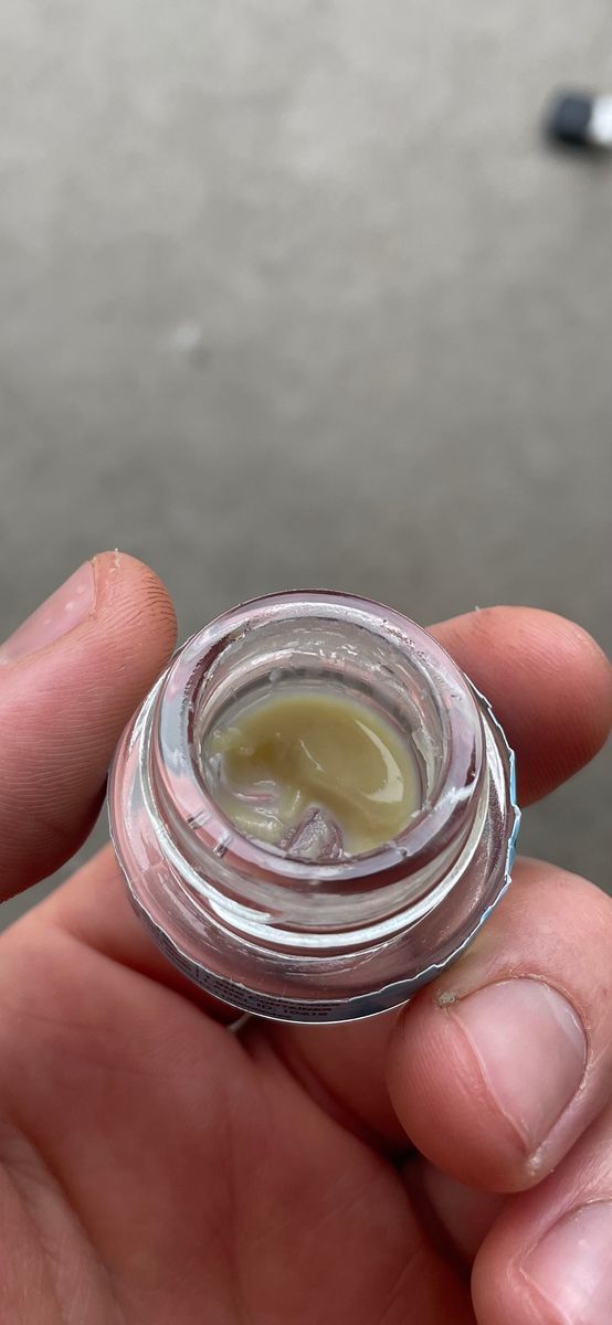 Garlic Toast strain