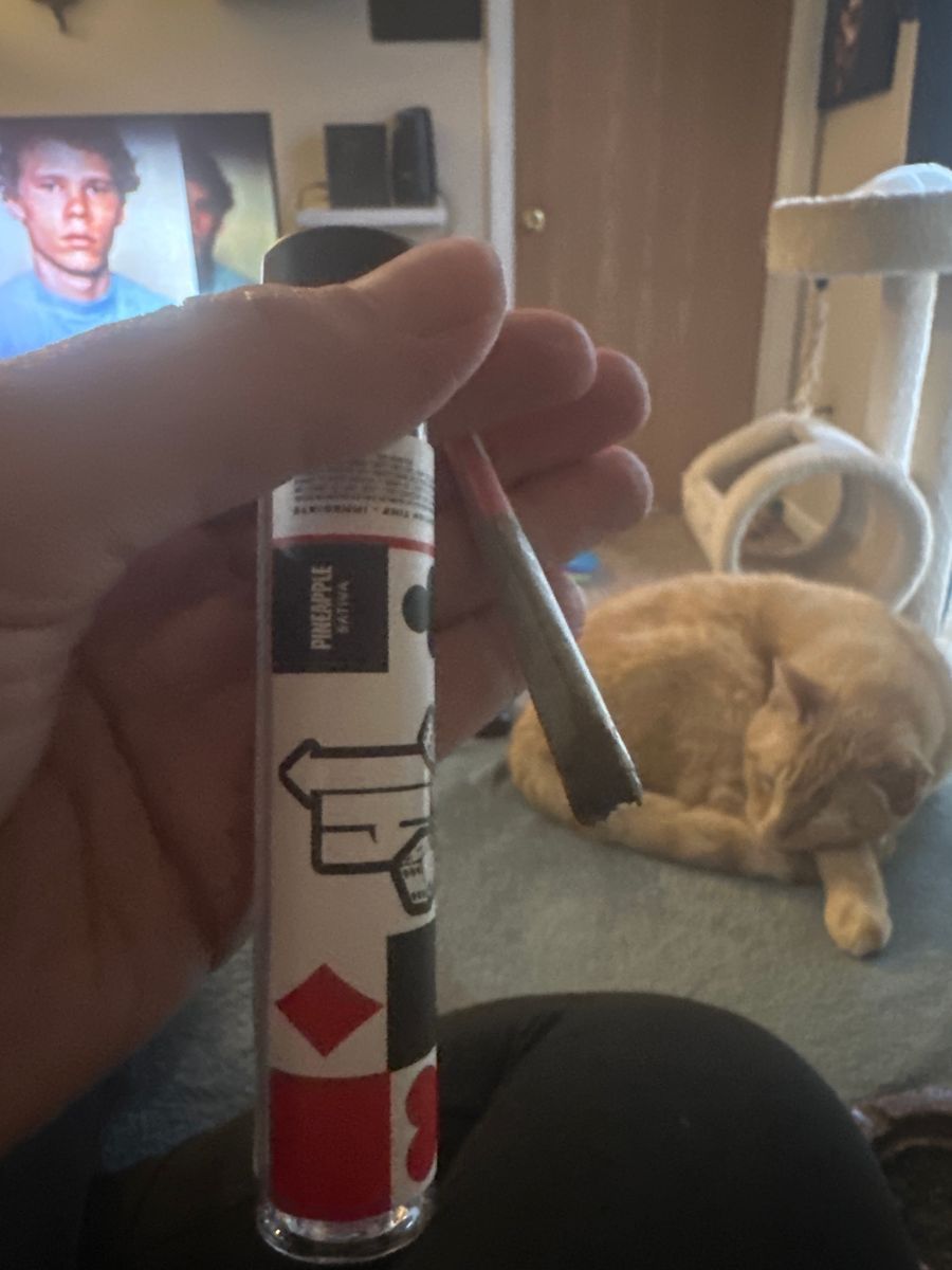 Pineapple Pr 1.2G strain
