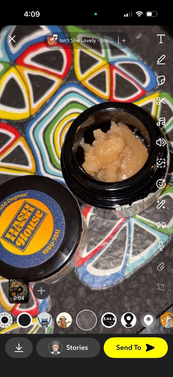 Candied Melons 🍈 strain