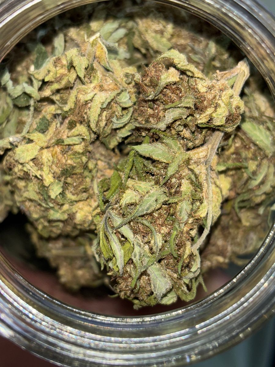 Gavo Farms  brand
