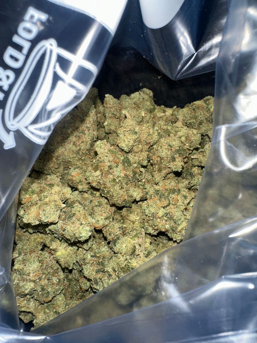 Maine Trees Watermelon Zkittles