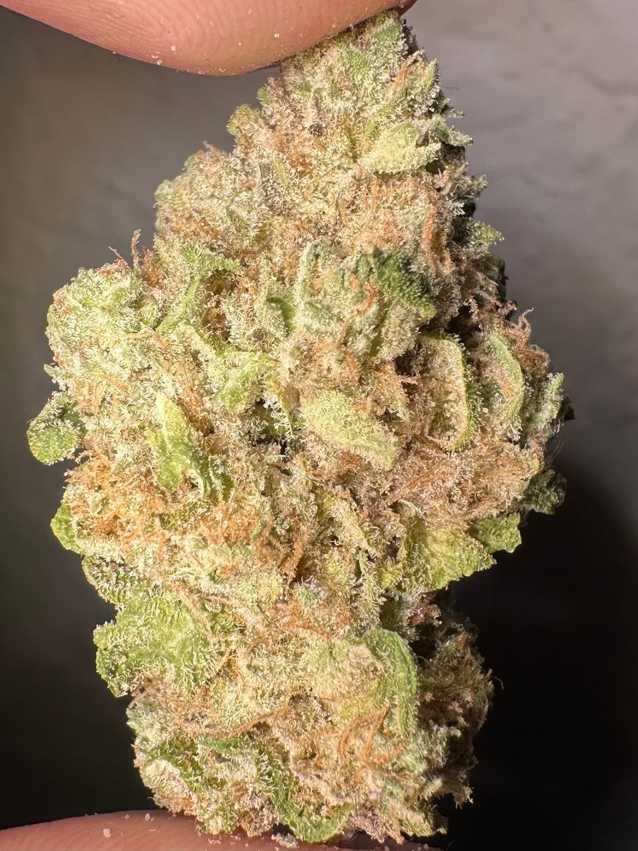Slow Motion strain