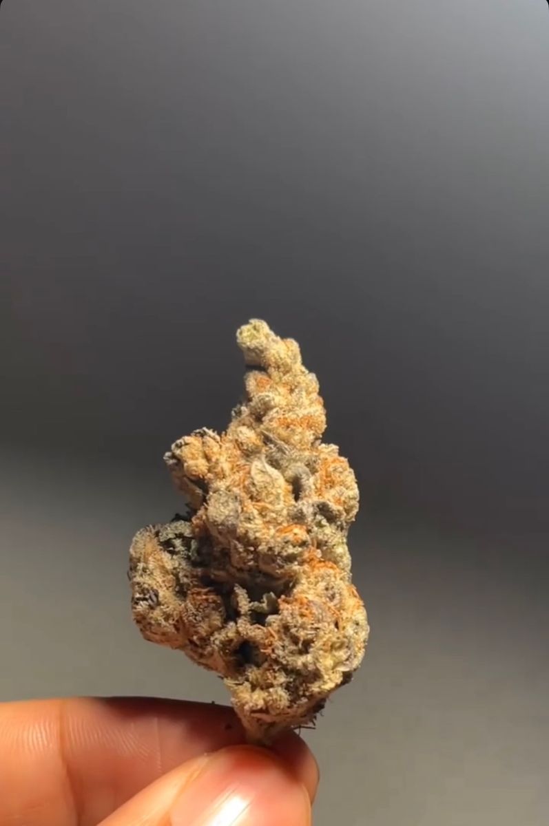 Cascade Crest: Banana Runtz