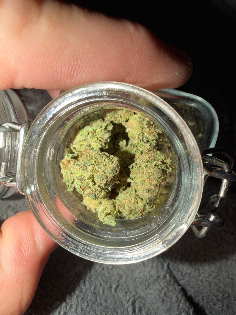 Cadre Farms: Platinum Garlic X Platinum Kush Mintz
