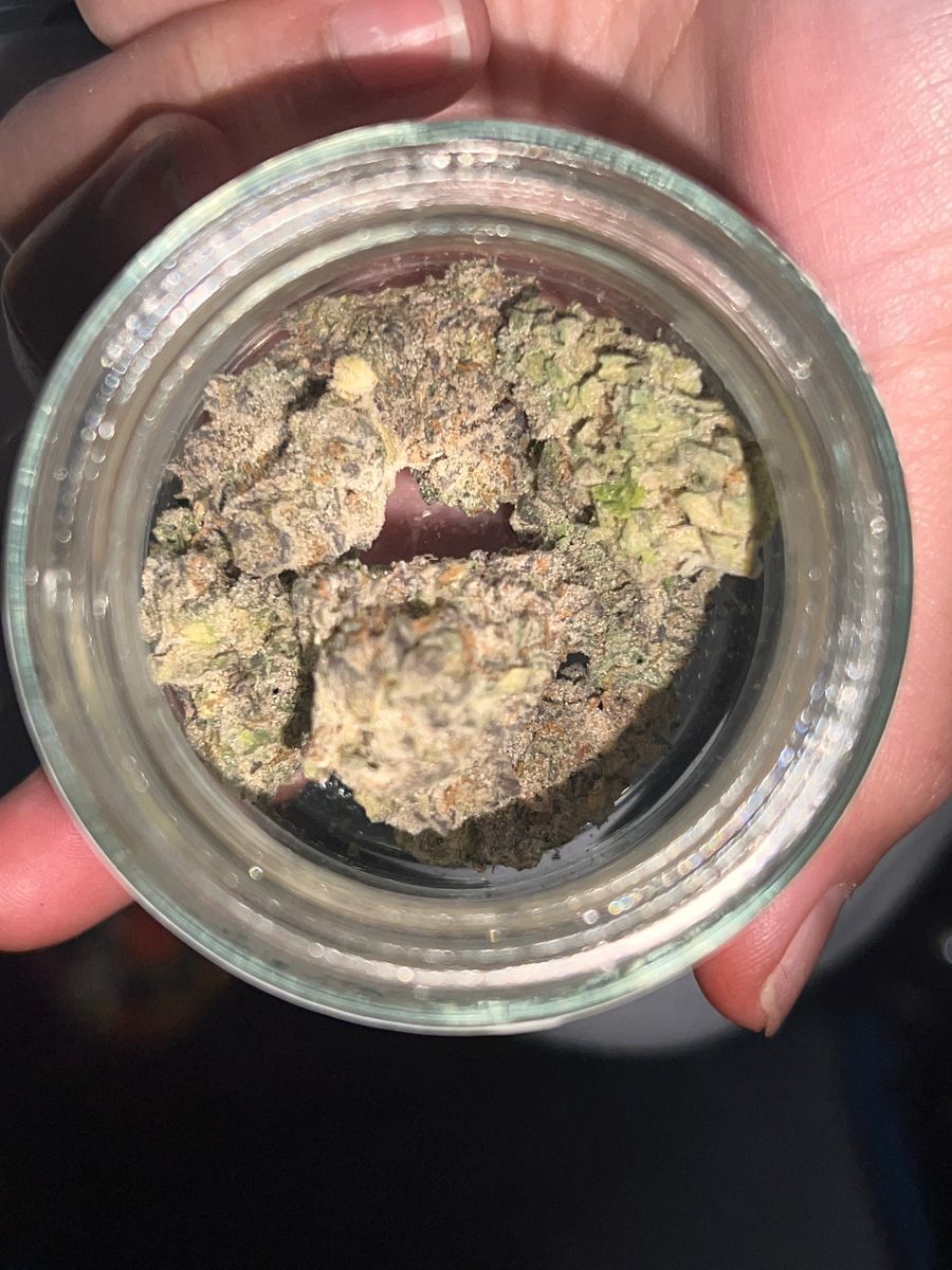 Street Tarts strain