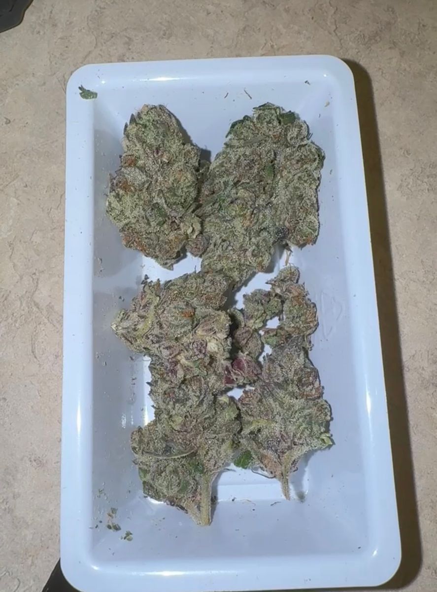 Ideal Cannabis Pink Pineapple
