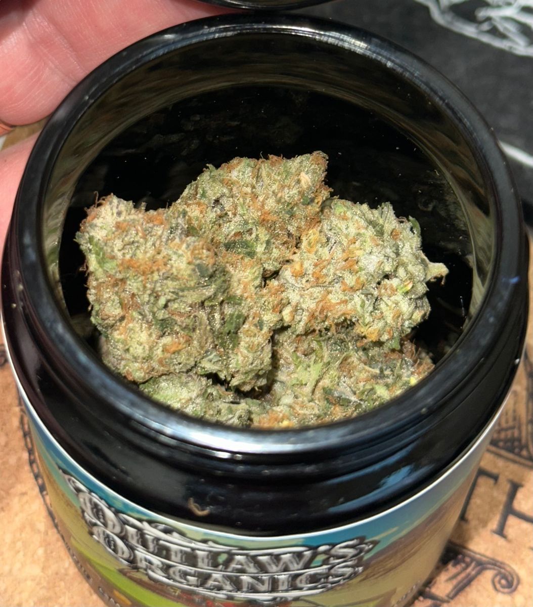 Outlaw Organics: Lemon Tree X Apples & Bananas #302