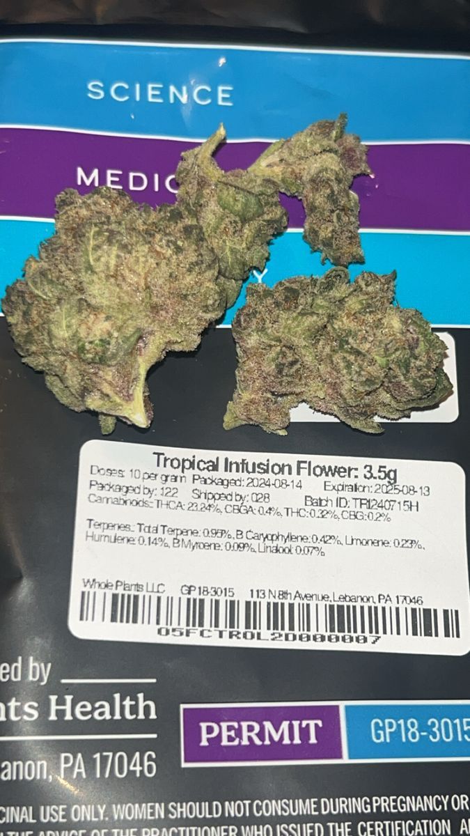 Tropical Fusion strain