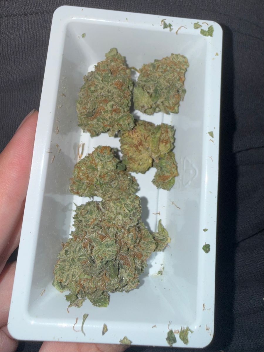 Ideal Cannabis Orange Bowl