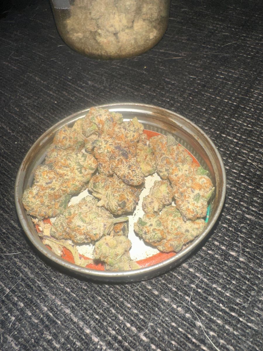 The Astronaut strain