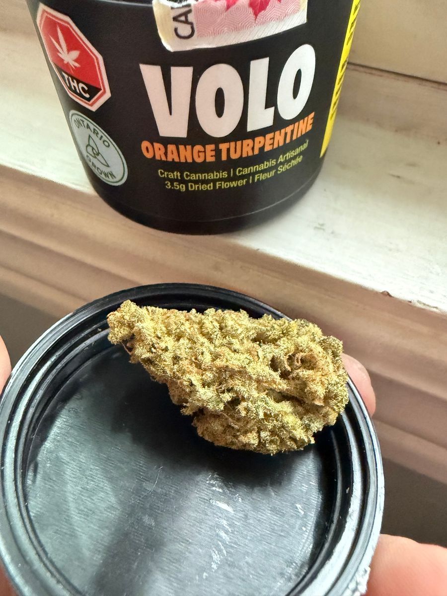Orange Turpentine strain