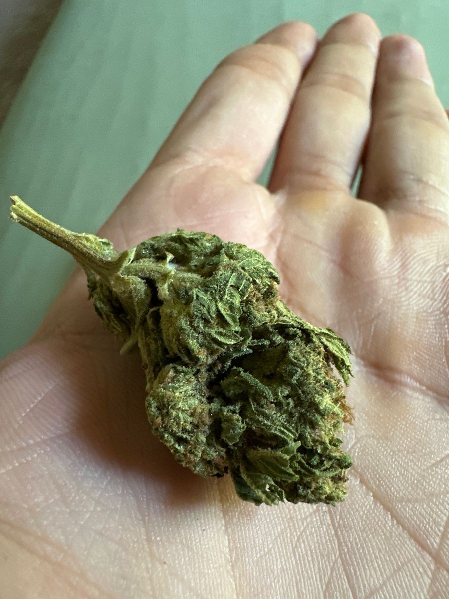 Mine White Widow