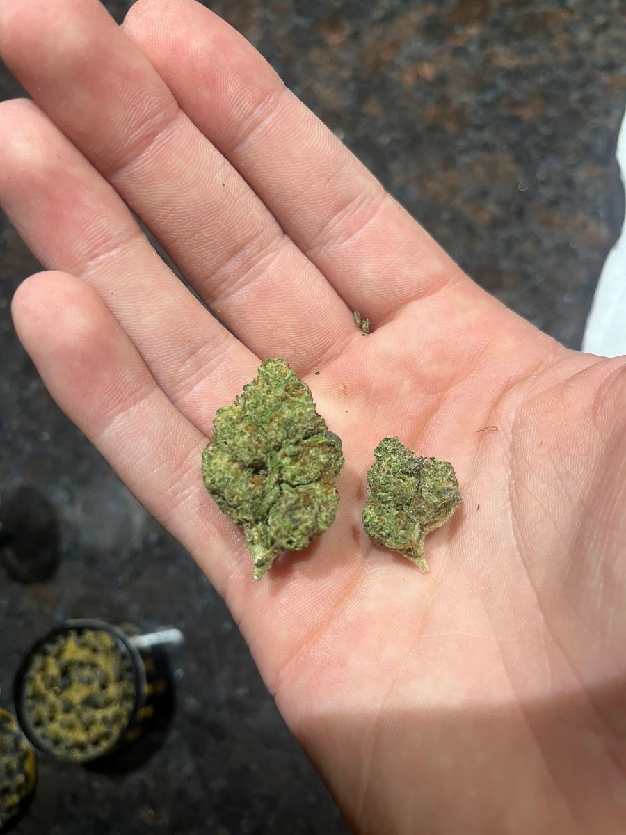 Hempworks brand