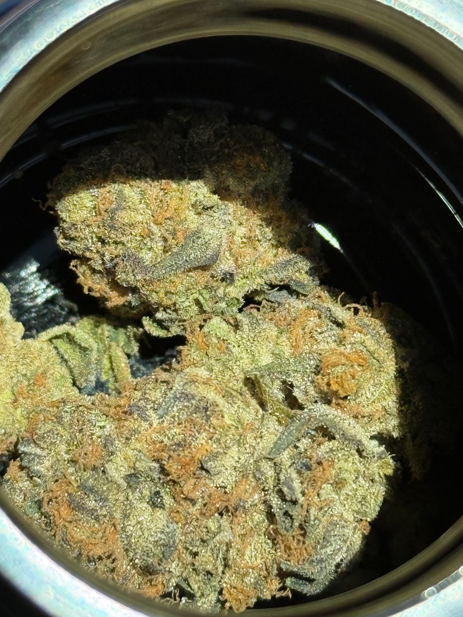 Gsc X Cherry Pie strain