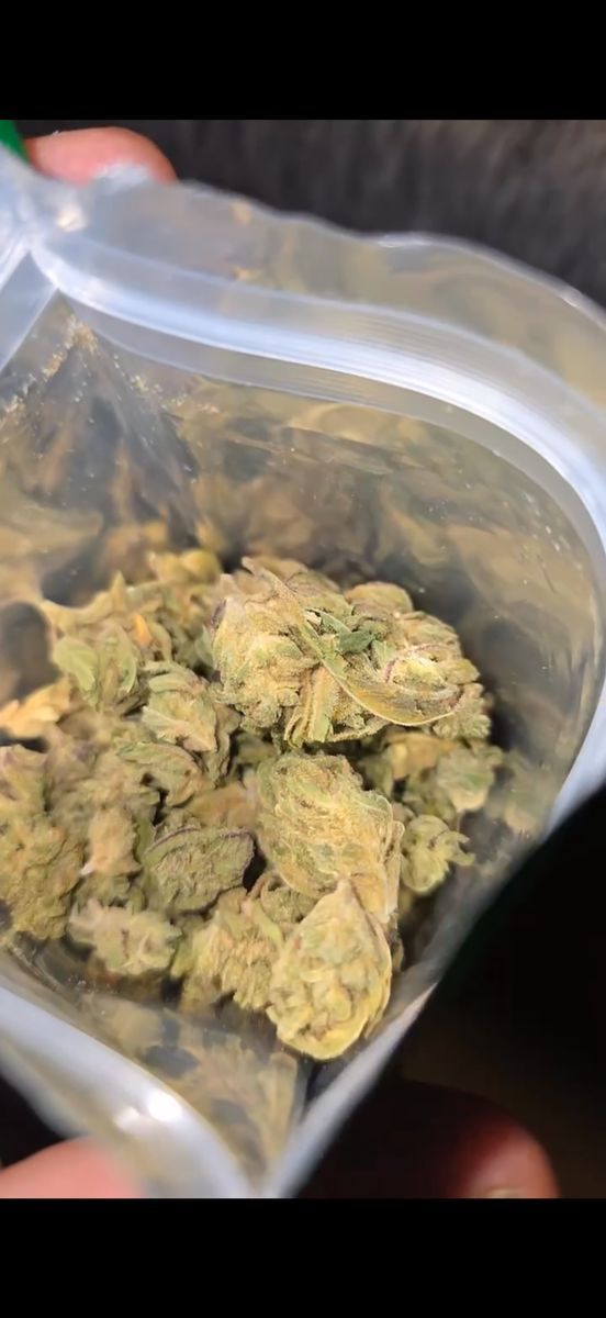The Weed Box Guava Tartz