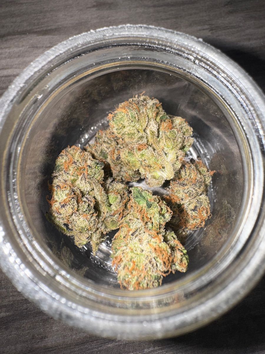 Blueberry Revenge strain
